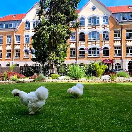 Hotel Kunstwerk B 3*