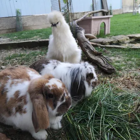 Hotel Kunstwerk B 3*