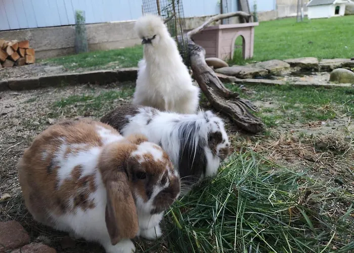 Hotel Kunstwerk B 3*